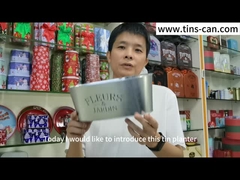 Ovales galvanizados cubren con cinc el pote del plantador del florero del metal para la decoración del jardín de flores